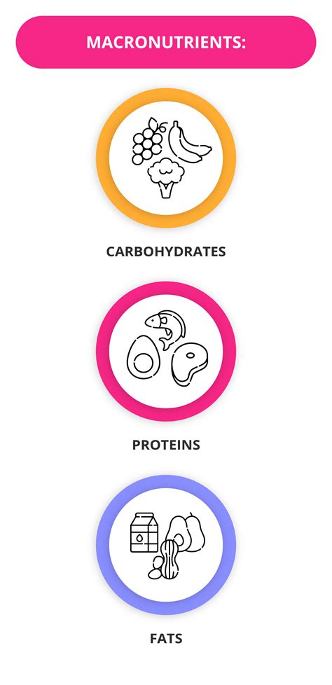 What Are Macronutrients And Micronutrients Getsmarter Blog