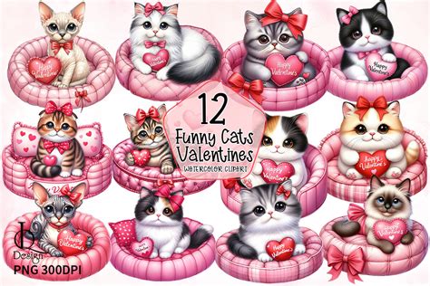 Funny Cat Valentines Day Clipart Png Graphic By Lq Design · Creative Fabrica