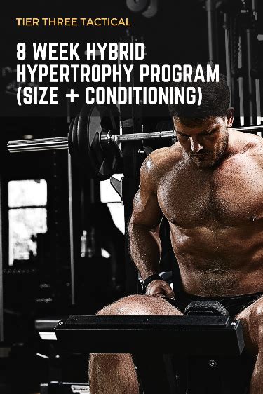 8 Week Hybrid Hypertrophy Program Size Conditioning Artofit