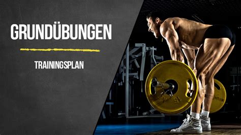 Ganzk Rper Trainingsplan F R Anf Nger Im Fitnessstudio Uebungen Ws