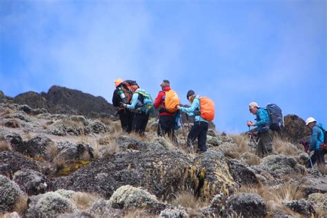 7 Días Ruta Machame Ascensión al Kilimanjaro En Grupo GetYourGuide