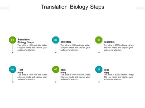 Translation Biology Steps Ppt Powerpoint Presentation Professional