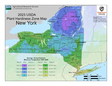 New York Usda Map Of Hardiness Planting Zones Gardening Know How