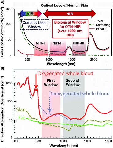 Exploiting The Biological Windows Current Perspectives On Fluorescent