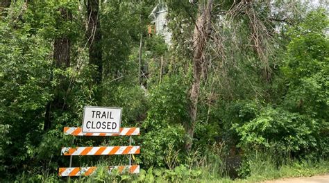 Boulder’s Forestry Team To Remove Hazardous Trees Along Boulder Creek ...