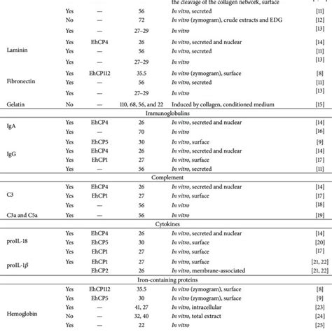 Proteases From E Histolytica As Virulence Factors During Intestinal Download Scientific