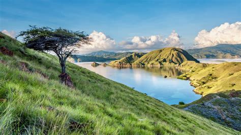 The Otherworldly Landscape of Komodo Island | Indonesia | EYOS Expeditions