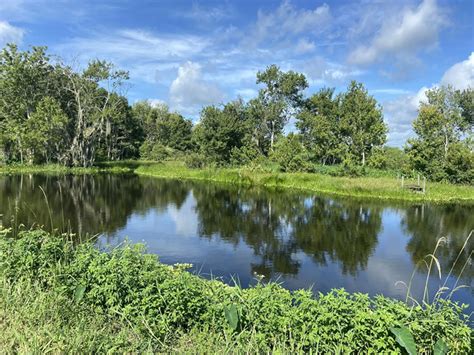 Embark On This Scenic Wildlife Driving Trail Nestled In The Florida Wilderness