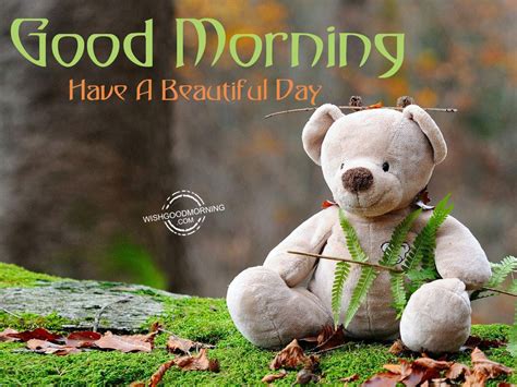 Good Morning Wishes Good Morning Pictures Wishgoodmorning