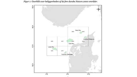 Dansk reguleringsforslag skal beskytte stenrev i Nordsøen og Skagerrak