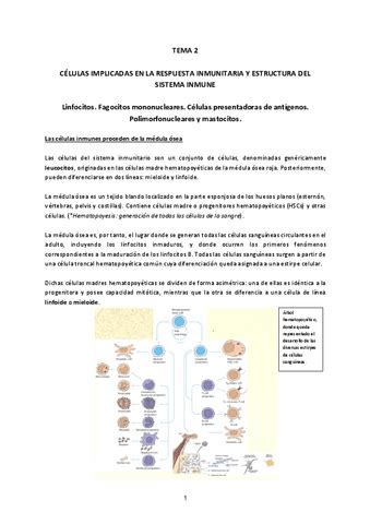 Inmuno Tema 2 Pdf