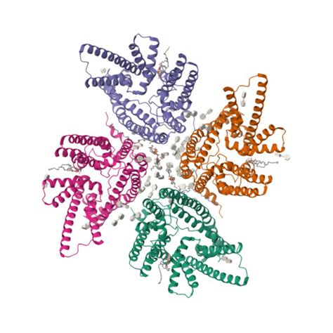 Rcsb Pdb Jes Cryo Em Structure Of Dltb Homo Tetramer