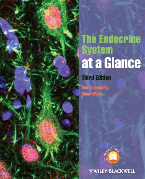 The Endocrine System At A Glance Ebook Endocrine System Endocrine