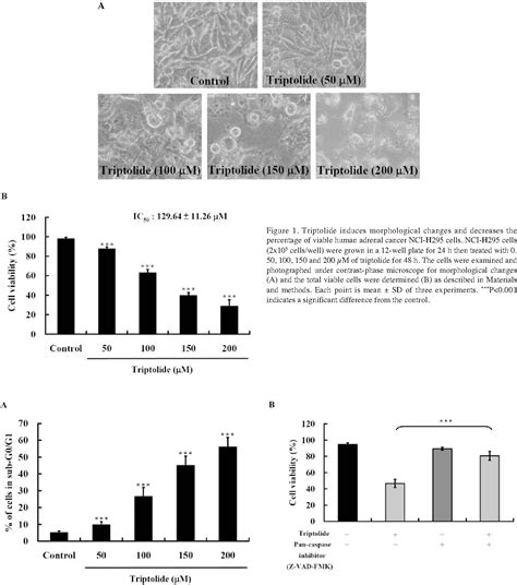 Figure From Triptolide Induces Apoptosis In Human Adrenal Cancer Nci