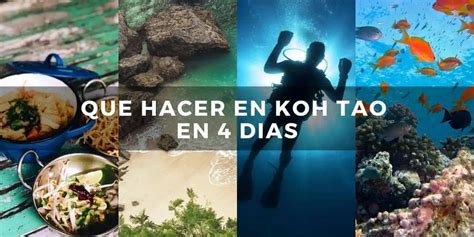 Que Hacer En Koh Tao En D As Ihasia Diving Kohtao