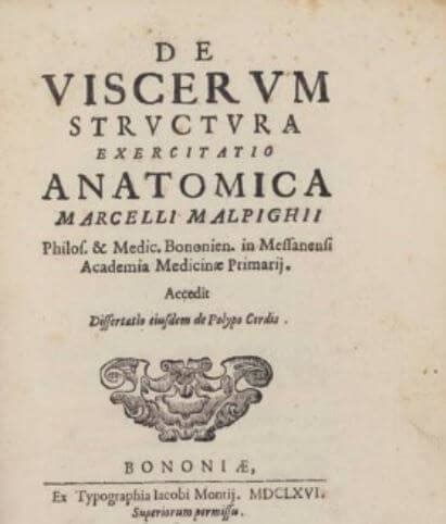 Marcello Malpighi (1628-1694) - Hektoen International