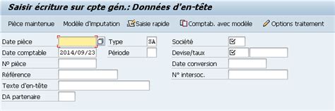 Capsule SAP 1 Le CFO masqué