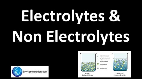 Electrolytes And Non Electrolytes Redox Equilibrium Youtube