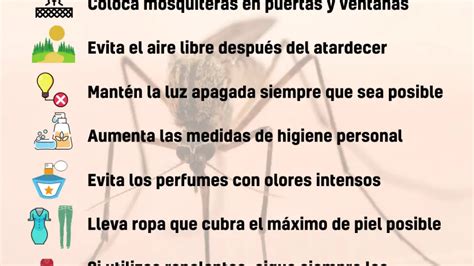 Recomendaciones Para Prevenir Picaduras De Mosquito Ante Los Casos De