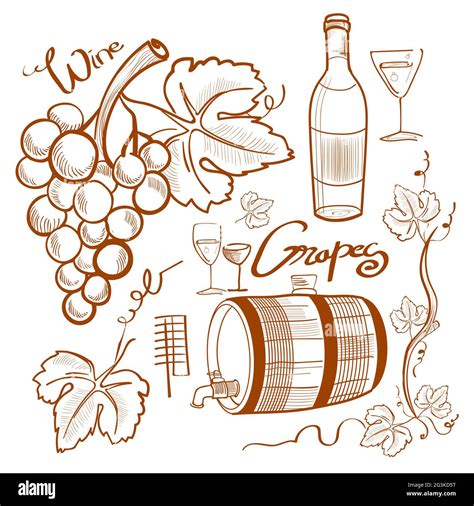 Illustration of doodle wine set Stock Photo - Alamy