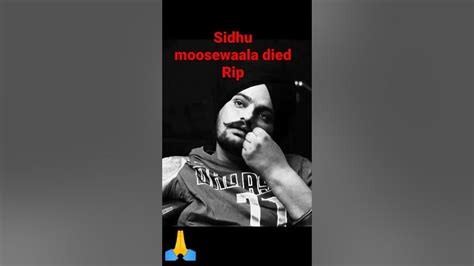 Sidhu Moose Wala Died Shot Dead Sidhumoosewala Sidhumoosewalastatus Rip Viral Shortsvideo