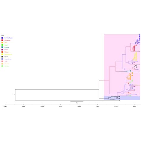 Phylogenetic Tree Of Rotavirus Genotype G Partial Vp Gene Sequences