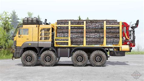 Kamaz 65228 TEMPO V1 2 Para Spin Tires