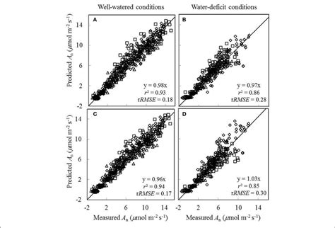 Comparisons Between The Measured Net CO 2 Assimilation Rate A N