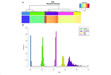 KEGG 00100 Metabolic Pathways PDS In Breast Cancer Subtypes Upper