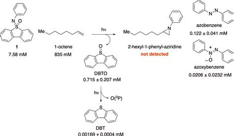 Photochemistry Of NPhenyl Dibenzothiophene Sulfoximine Isor 2021