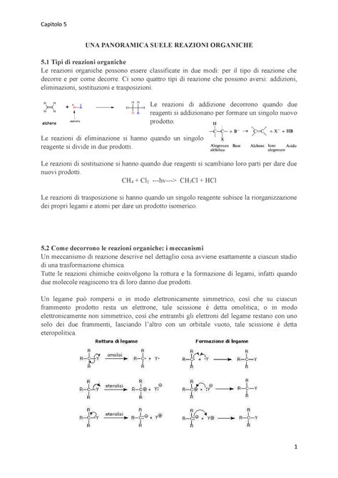 Capitolo Riassunto Organic Chemistry Una Panoramica Suele