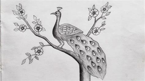 How To Draw A Peacock On The Tree Very Easy Step By Step Easy