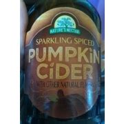 Nature S Nectar Sparkling Spiced Pumpkin Cider With Other Natural