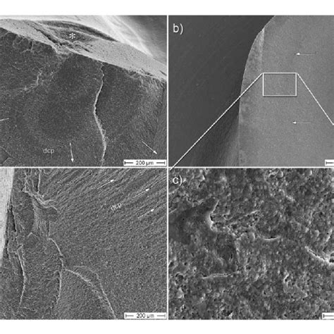 (a) The fracture origin on the palatal fragment of Figure 1(e) (see ...