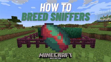 How To Breed Sniffers In Minecraft 1 20 Java Youtube