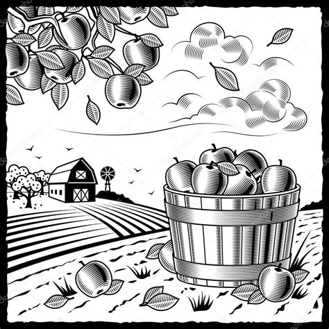 Landscape With Apple Harvest Black And White Stock Vector By ©iatsun