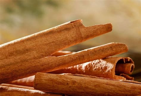 cinnamon bark  health  flavor benefits