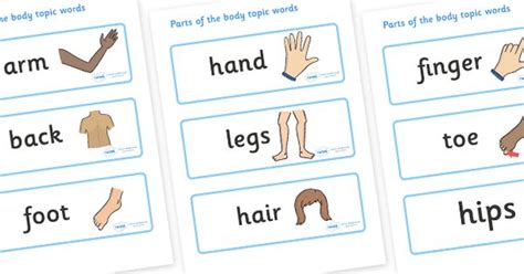 Twinkl Resources Parts Of The Body Topic Word Cards Thousands Of