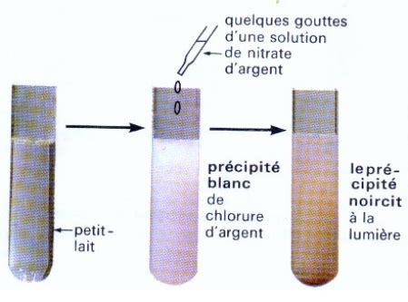 SVT 3ème mise en évidence des aliments simples du pain et du lait L