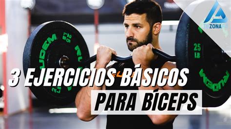 Ejercicios Para Bíceps Con Barra Sale prginc net