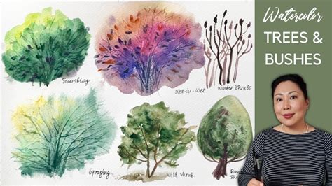 Easy Bush And Tree Watercolor Painting Ideas How To Paint Trees And