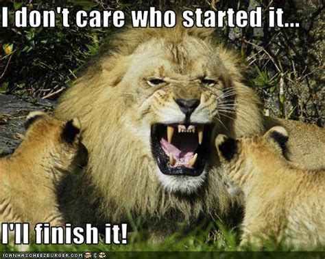 Funny Animals: Funny Lion Pictures/Images, Lion