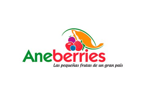 ANEBERRIES ultima la puesta en marcha el próximo año la certificación