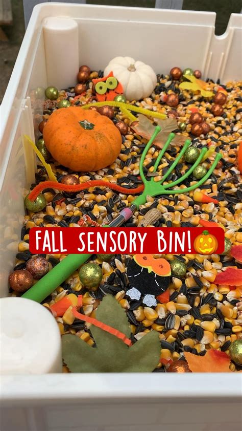 35 fantastic fall sensory bins for kids – Artofit