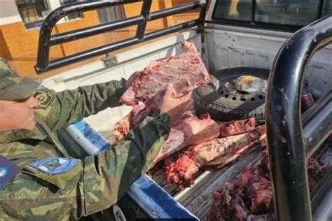 Corrientes decomisan más de 80 kilos de carne no aptos para consumo