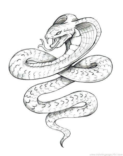 Anaconda Drawing at GetDrawings | Free download