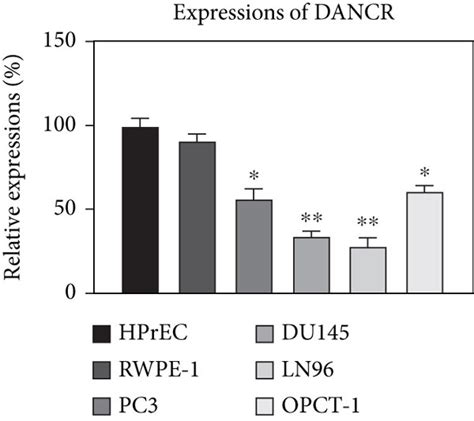 MiR 33b 5p Is Negatively Associated With Taxol Resistance A