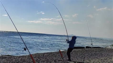 A Pesca Super Canna Piegata Da Grosso Pesce Con L Innesco Bibi Di