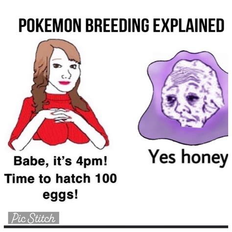 Pokemon Breeding Explained : r/pokememes