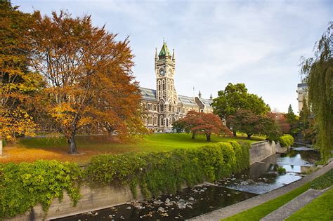 Dunedin travel | Dunedin & Otago, New Zealand - Lonely Planet